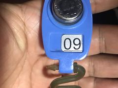 -翡翠湖迎宾馆·游泳馆