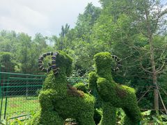 -长白岛森林公园