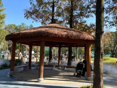 -宁波儿童公园(鄞州区)