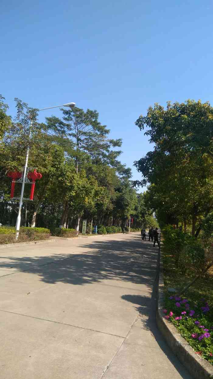 東坑農業園-