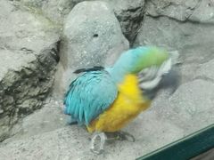 android_upload_pic-福州罗源湾海洋世界旅游区