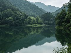 -缙云山景区