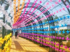 -杭州湾海上花田景区