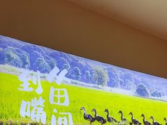 -杨厨的田园饭店(长城路店)