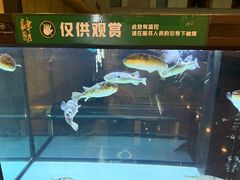 -肆月河豚·淮扬菜·湘菜(华天店)