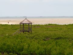 -北海金海湾红树林生态旅游区
