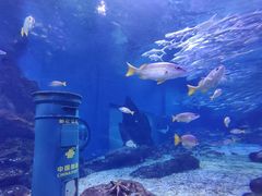 -海合安武汉极地海洋公园