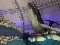 -烟台海昌鲸鲨海洋公园