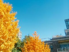 -辽宁大学(崇山校区)