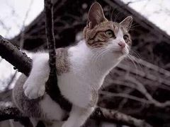 -星巴克臻选(济南万达店)