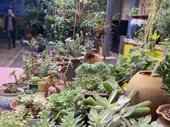 -阳光山水江湖菜馆(西山龙门店)