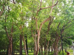 -黑龙江省森林植物园