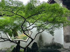 -太平天国侍王府