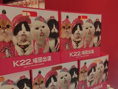 -K22.酸奶草莓(长春上海路万达店)