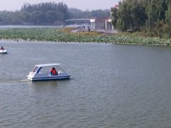 -大兴滨河森林公园