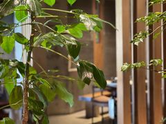 -园里火锅(仁和新城店)