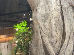 -园里火锅(仁和新城店)