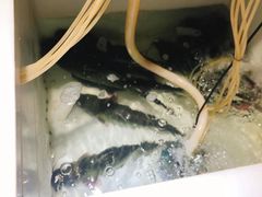 -小小河边鱼(天润城店)