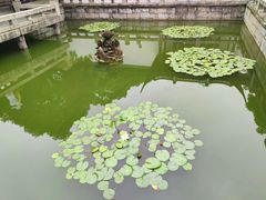 -上海醉白池公园
