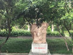 -莲湖公园