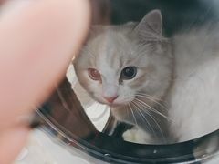 -佳雯宠物医院·皮肤科·内外科(春晓路分院)