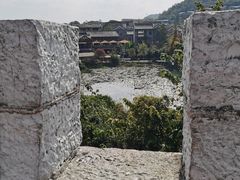 -王万妈卤猪脚(青岩交通路)
