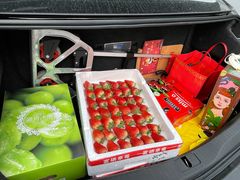 -西郊国际农产品交易中心