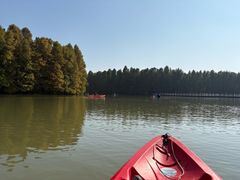 -上海海湾国家森林公园