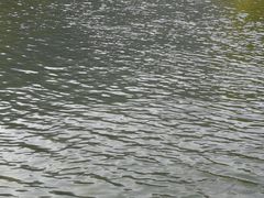 -雅鲁激流探险漂流