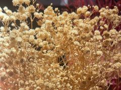 -亦境芳香·SPA影院足道(梅林店)