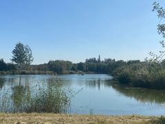 -大兴滨河森林公园