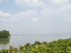 -深圳湾公园(南山区)