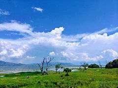 -大理洱海