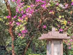 -广州兰圃