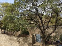 -延安杨家岭革命旧址