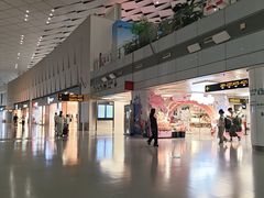 -郑州新郑国际机场-T2航站楼