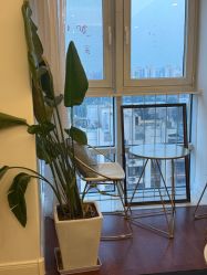 -演员的秘密·皮肤管理