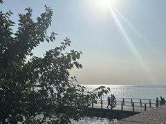 -滆湖低碳生态公园