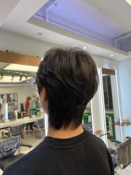 -镁连社·美联社