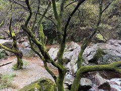 -百杖潭景区