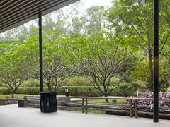 -南宁荔园维景国际酒店·荔园中餐厅