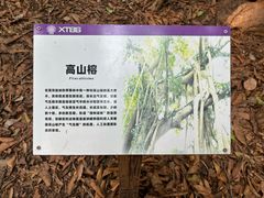 -中国科学院西双版纳热带植物园