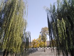 -张兴邦擀面皮(禧悦里店)