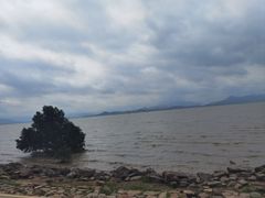 -深圳湾公园(南山区)