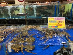 避风塘阿拉斯加帝王蟹-东江海鲜酒家(艺都分店)