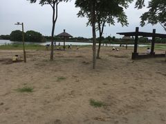 -梁鸿国家湿地公园