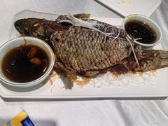 罾蹦鲤鱼-桂园餐厅(五大道店)
