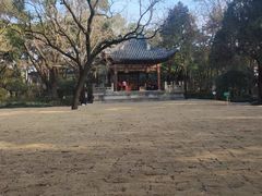 -汇龙潭