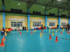 -长春乐奇平衡车儿童体能运动中心