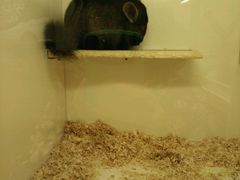 -龙猫仔乐园(惠福东路店)